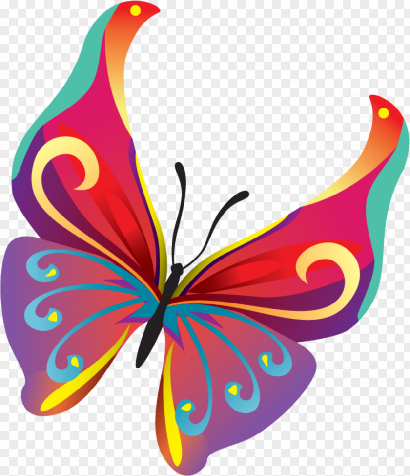 Peacock Butterfly Insect Clip Art PNG