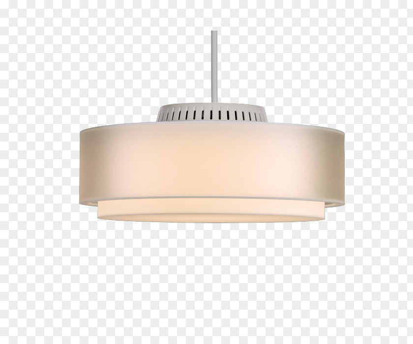 Pendant Lighting Chameleons Ceiling Lantern PNG