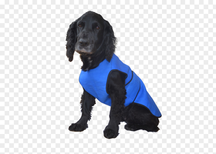 Puppy Boykin Spaniel English Cocker Field Cooling Vest PNG