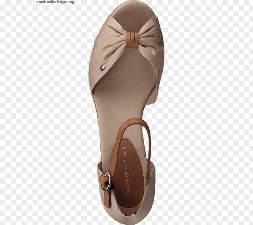 Sand DESERT Sandal Shoe PNG