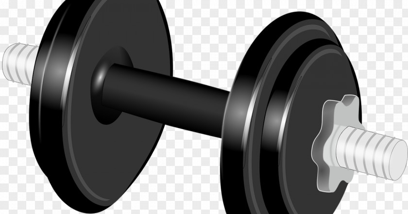 Dumbbell Barbell Exercise Clip Art PNG