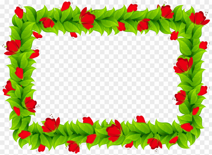 Floral Frame Picture Frames Borders And Clip Art PNG