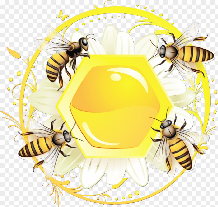 Insects Hornets Pollinator Honey Bee Bees PNG