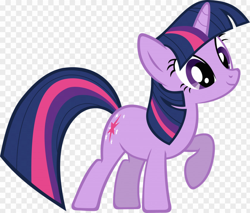 Rainbow Dash Twilight Sparkle Pinkie Pie Rarity Pony PNG