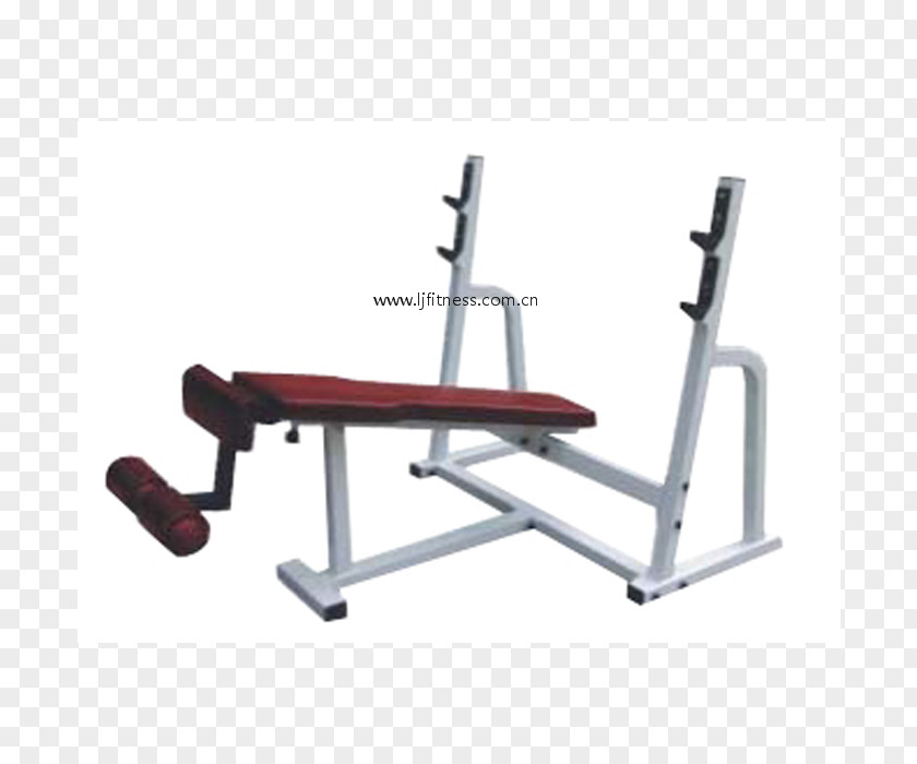 Three-dimensional Square Business Chin Bench Press Fitness Centre Physical Weightlifting Machine PNG