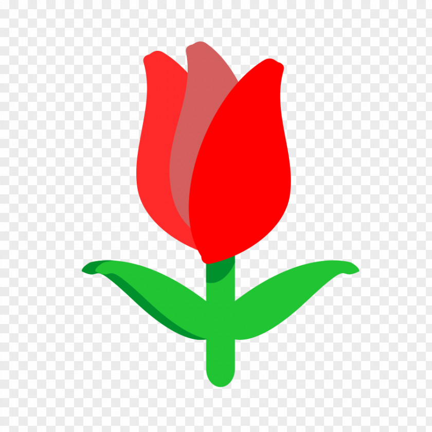 Tulip Petal Plant Stem Leaf Clip Art PNG