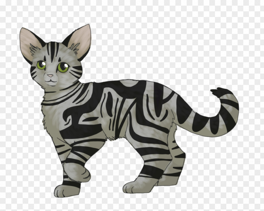Cat Whiskers Tabby Domestic Short-haired Tail PNG
