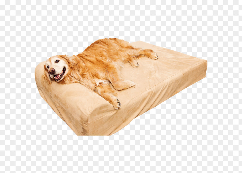 Dog Sporting Group Snout Pet Bed PNG