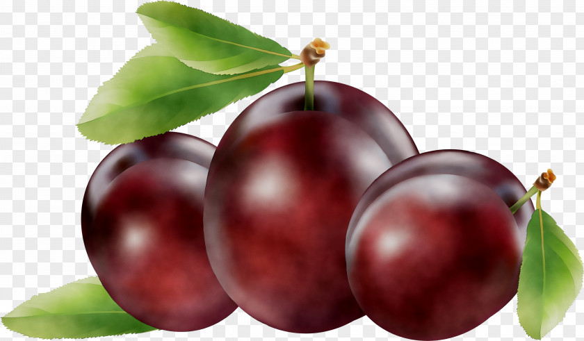 Vector Graphics Stock Illustration Gooseberry PNG