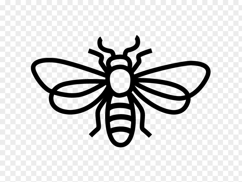 Bee The Best Bees Company Honey Insect Beehive PNG