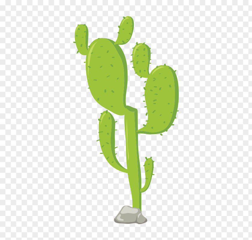 Cactus Cactaceae Euclidean Vector PNG