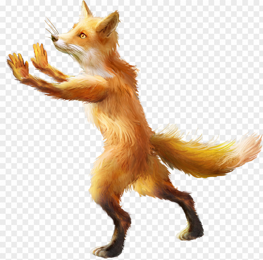 Cartoon Fox Red Animation Clip Art PNG