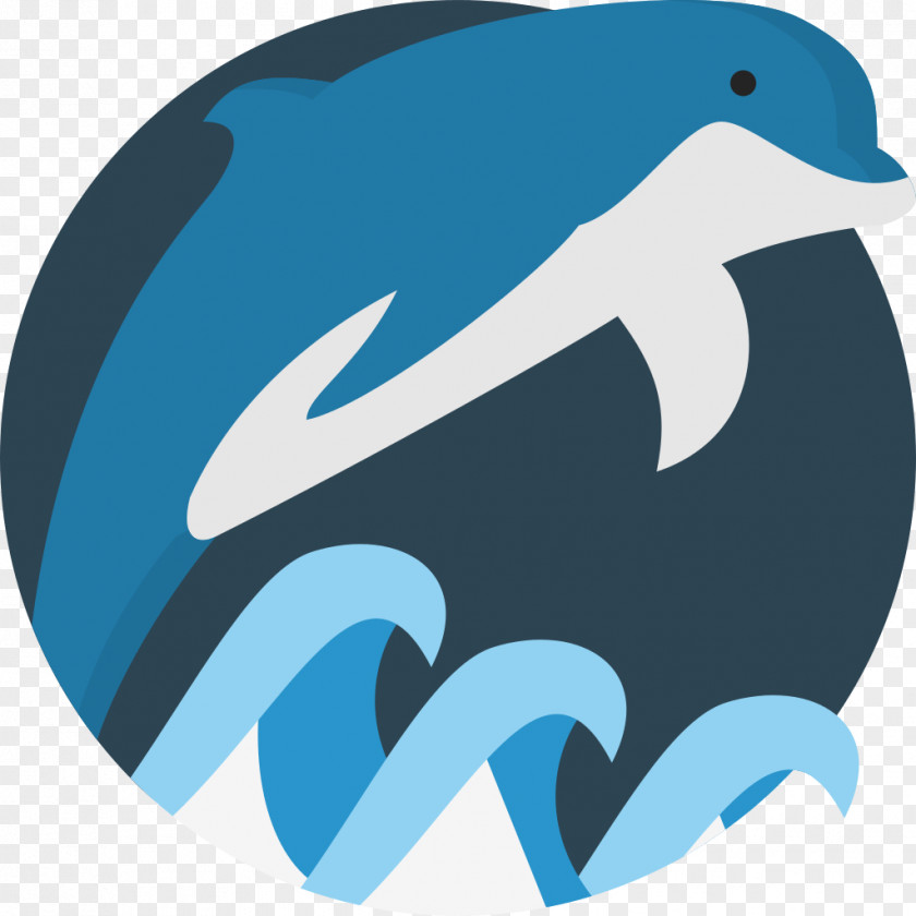 Dolphin Bottlenose PNG