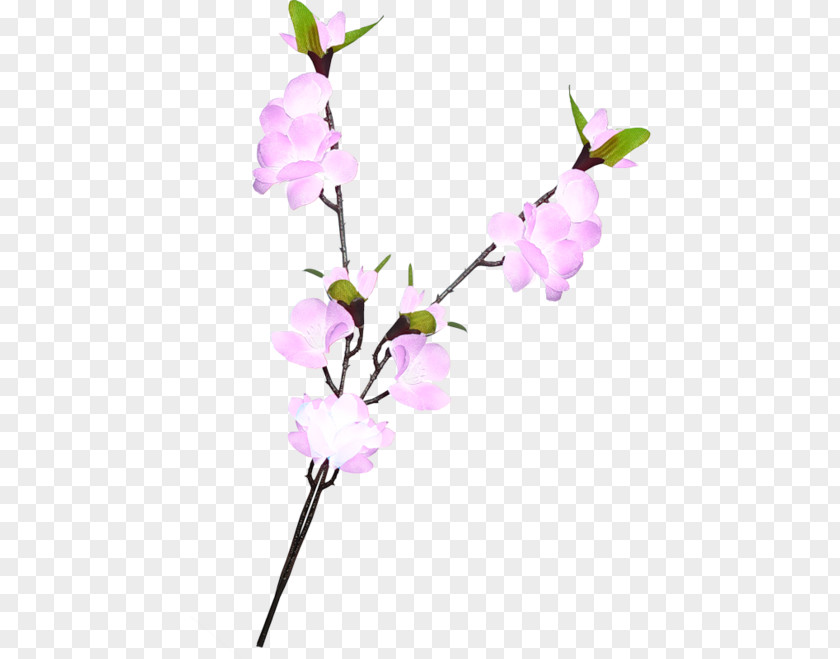Flower Cut Flowers Floral Design Twig PNG