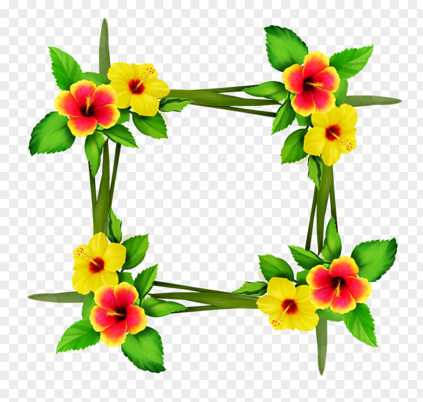 Flower Floral Design Cut Flowers Bouquet Narcissus PNG