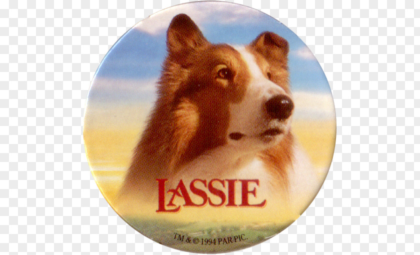Brazil Games Lassie Come-Home Family Film 0 PNG