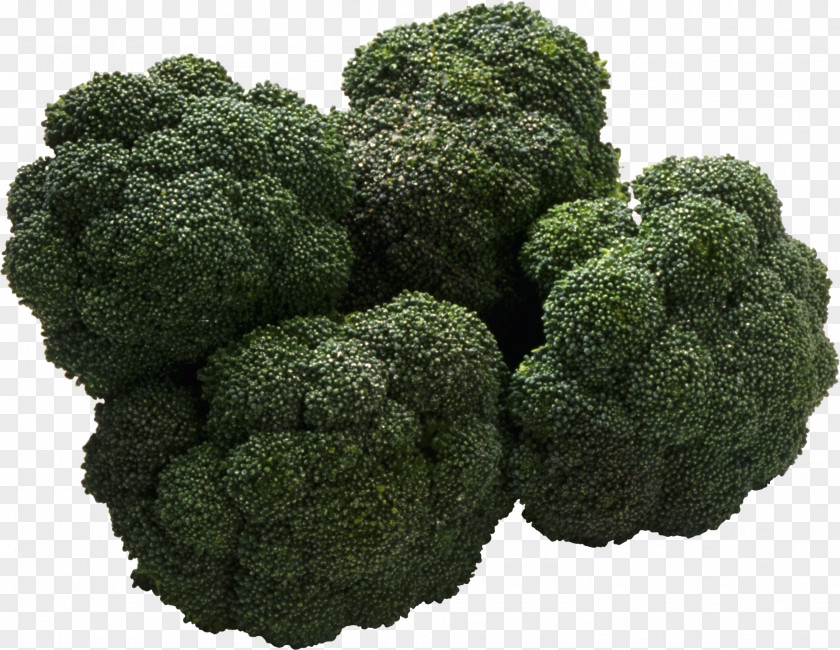 Broccoli Image Sour Organic Food Bitter Taste PNG