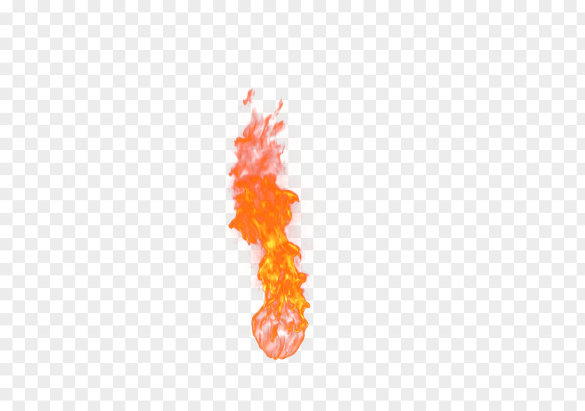 Fire Elemental Flame Software PNG