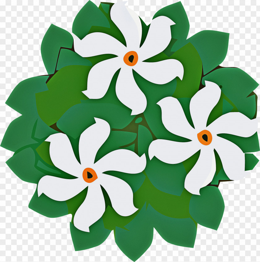 Floral Design PNG