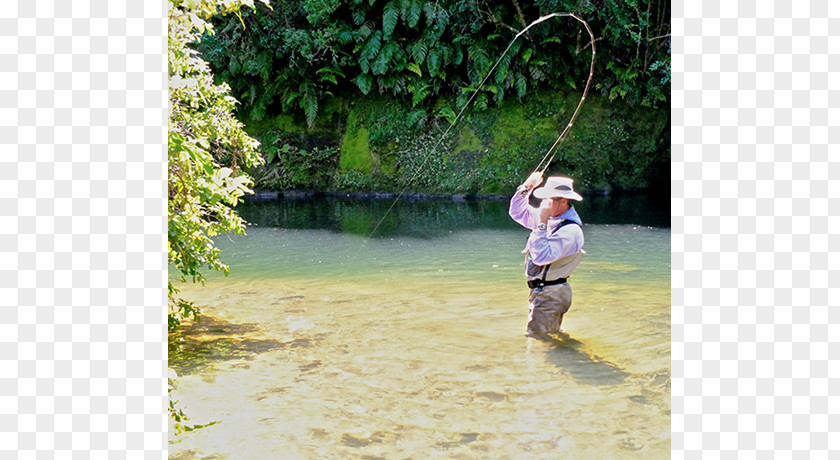 Fly Tying Fishing Vertebrate Water Resources Leisure Vacation PNG