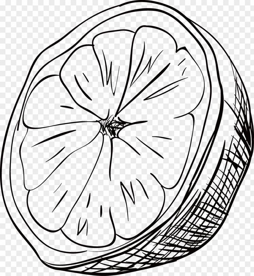Lemon Vector Black And White Drawing Painting Clip Art PNG