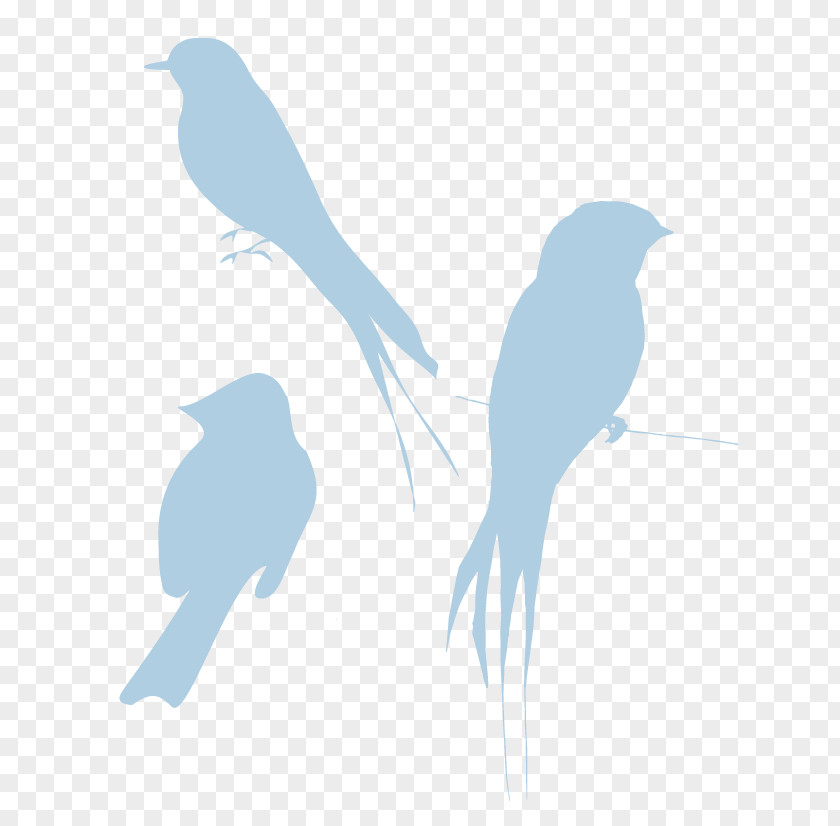 Light Blue Sparrow Bird Clip Art PNG