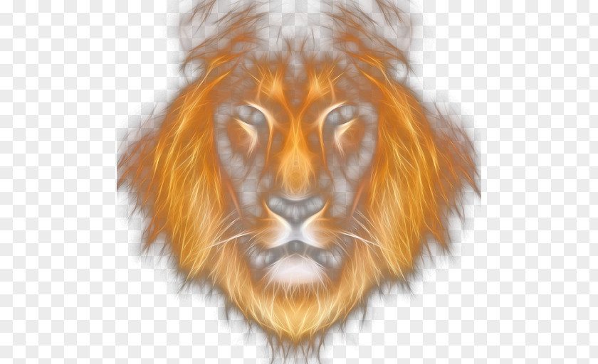 Lion Leo Rendering PNG