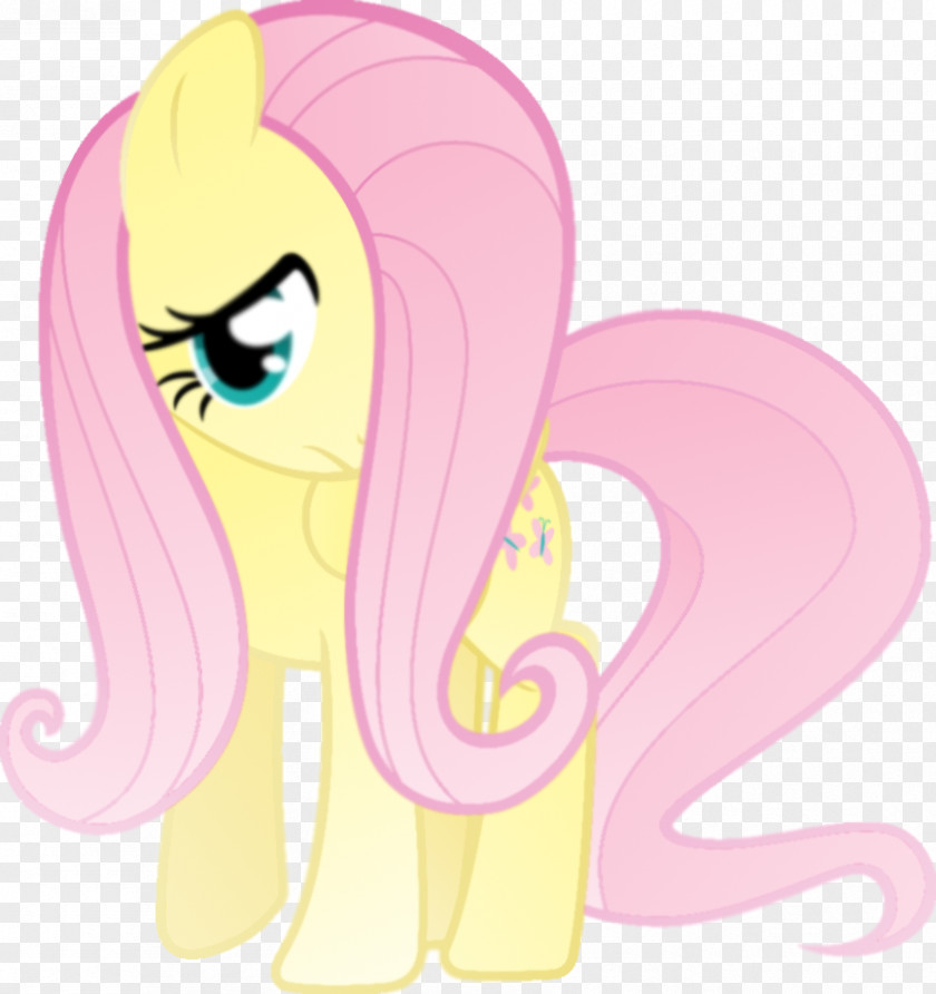 My Little Pony Fluttershy Rainbow Dash Pinkie Pie Twilight Sparkle PNG
