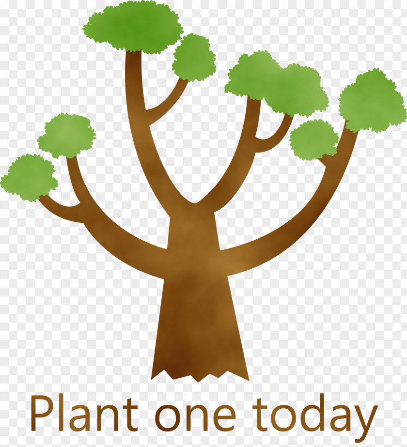 Plant Stem Leaf Flower Meter Tree PNG
