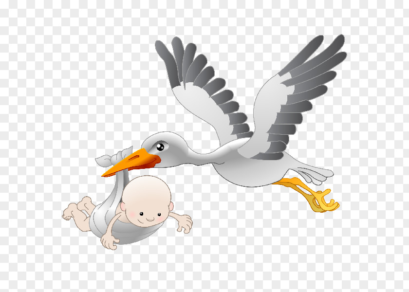 Stork Infant Clip Art PNG