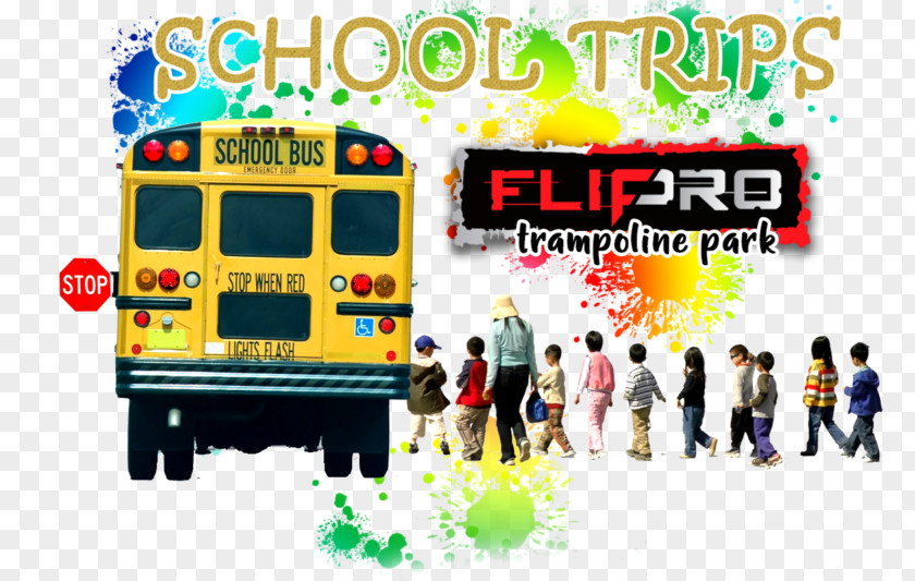 Ball Foam Pit Lauderdale County Schools Letterhead Education Template PNG