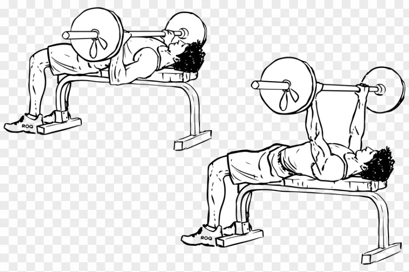 Barbell Bench Press Dumbbell Exercise PNG