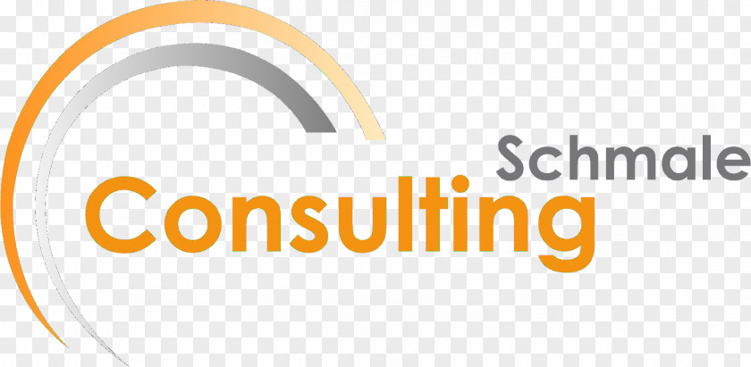 Iso 9001 Project Management Consulting Consultant PNG