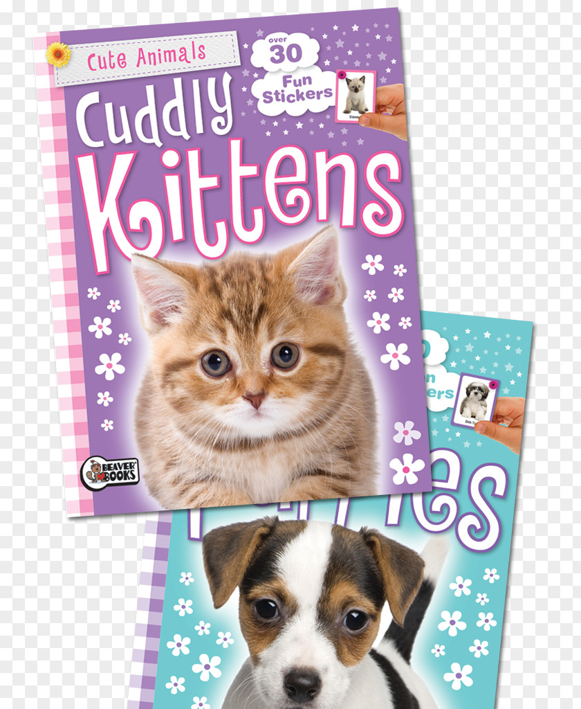 Kitten Whiskers Puppy Cat Coloring Book PNG