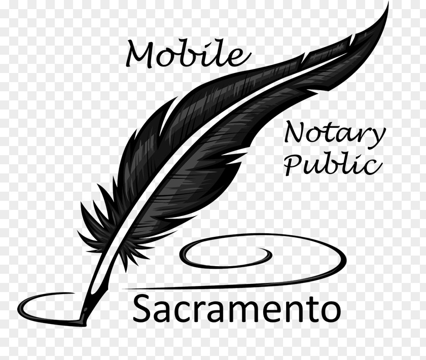 Notary Public Writing Poetry Book Writer Word PNG