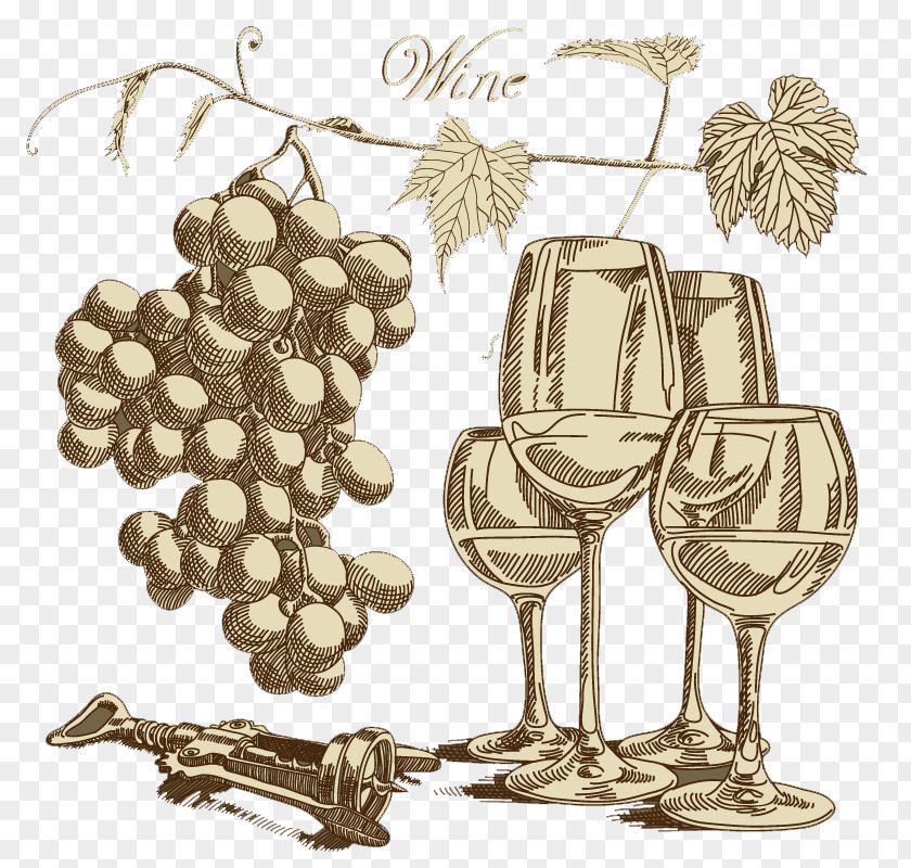 Retro Vintage Hand-painted Background Vector Material Wine Glass Grape PNG