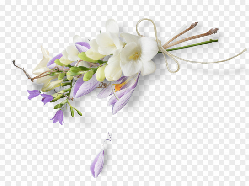 Spring Cut Flowers Artificial Flower Floral Design Petal PNG