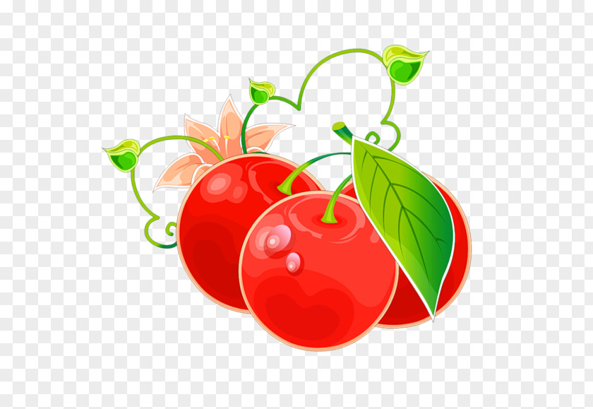 Tomato Barbados Cherry Clip Art Fruit PNG
