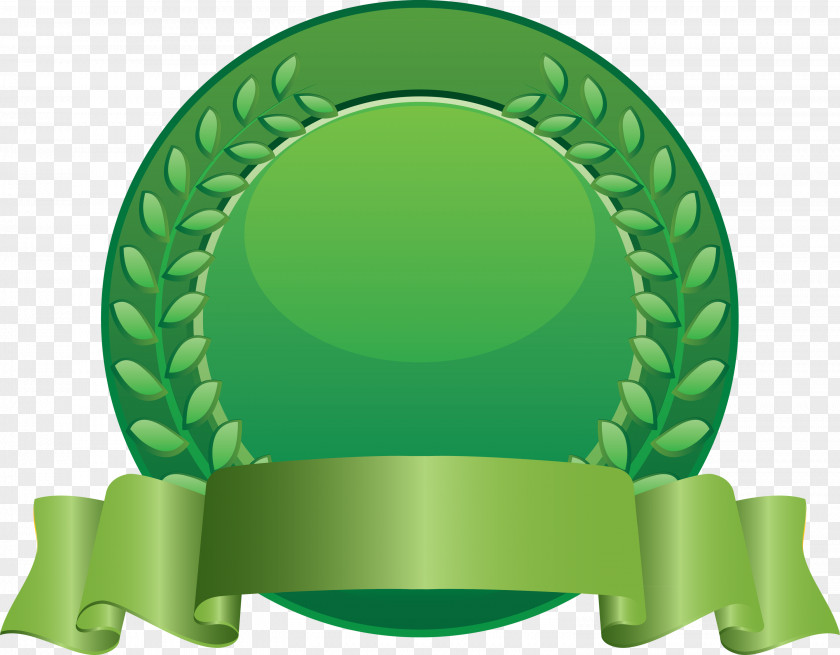 Blank Badge Award PNG