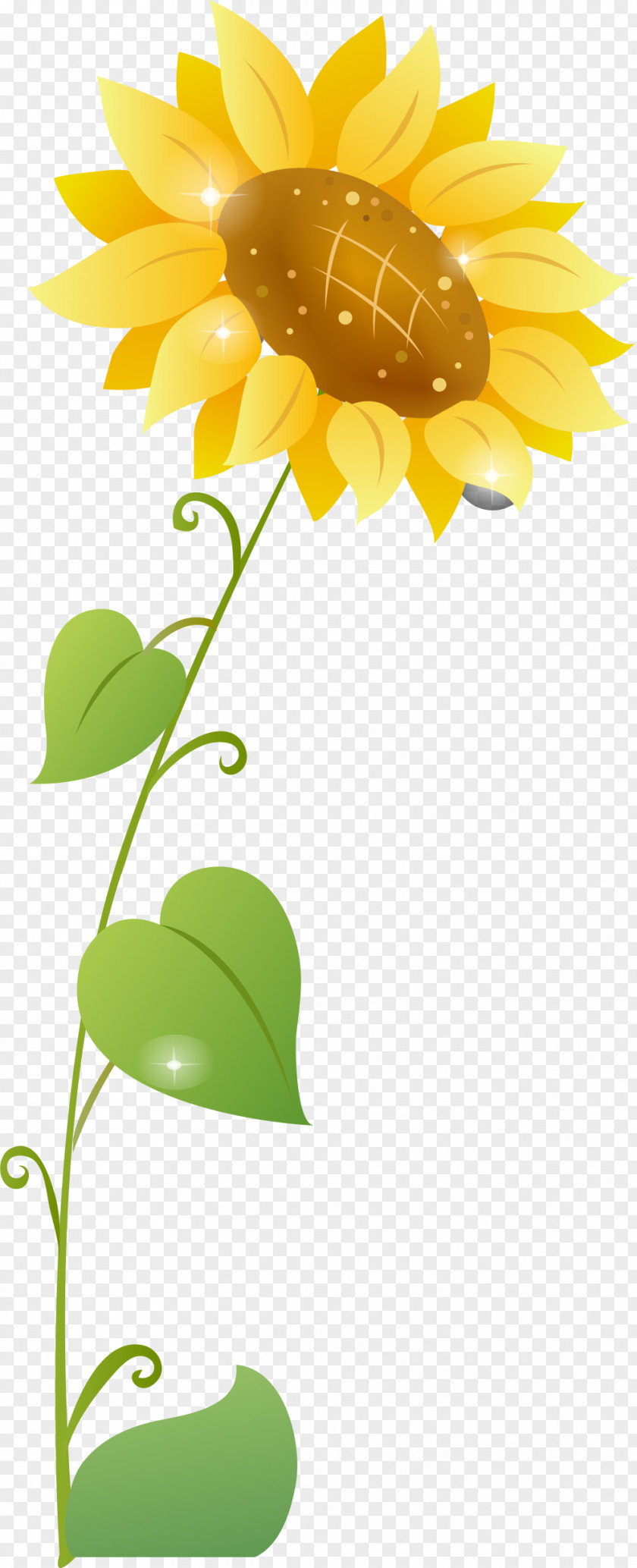 Cartoon Sunflower Common PNG