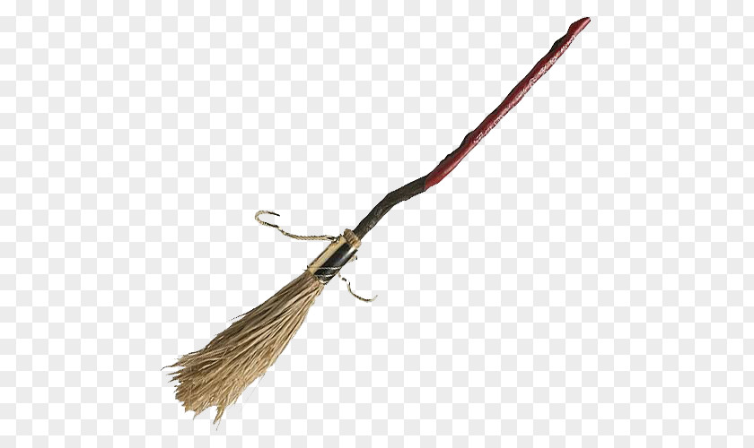Harry Potter Broom Free Download Potter: Quidditch World Cup And The Prisoner Of Azkaban Order Phoenix Cedric Diggory PNG