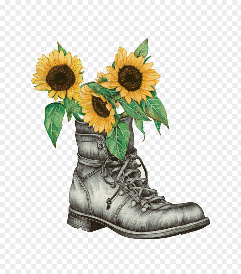 Painting Common Sunflower Drawing Watercolor Boot PNG