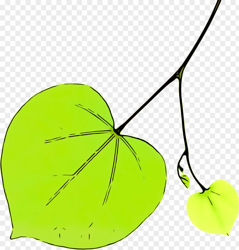 Tree Plant Leaf Clip Art Line PNG