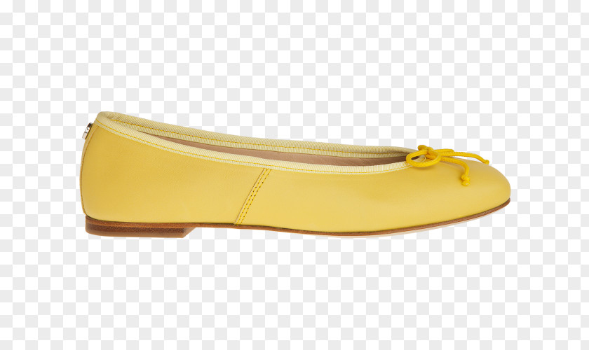 Yellow Ballet ShoeAmarelo Flat Aurora PNG