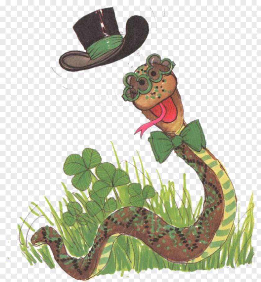 Amphibian Serpent Fauna Cartoon PNG