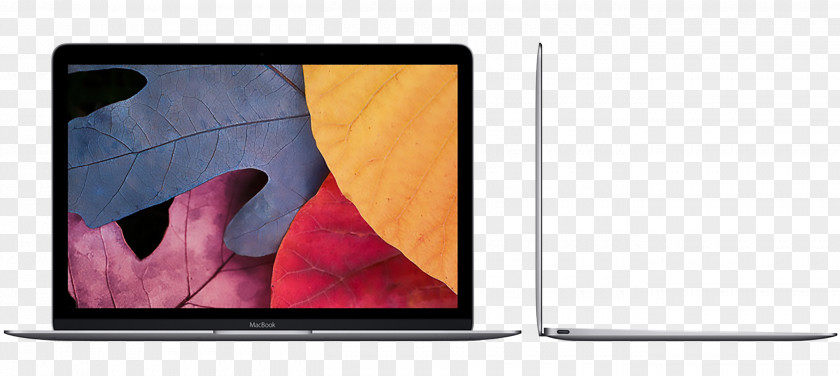 Apple MacBook Air Pro Family Laptop PNG