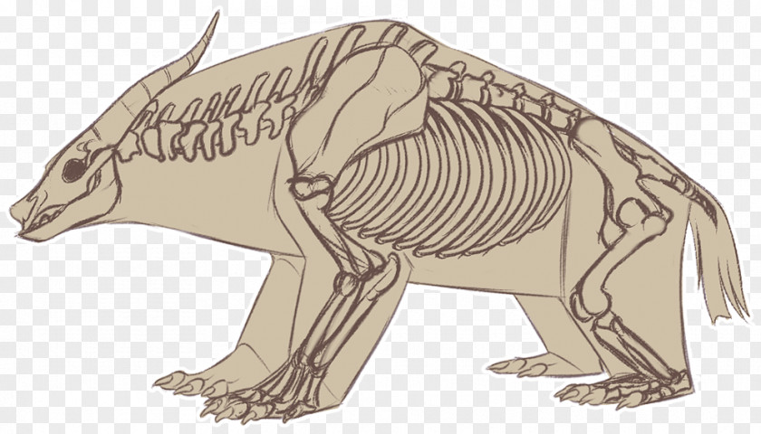 Dog Line Art Tyrannosaurus Wildlife PNG