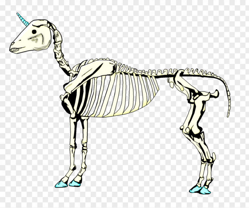 Hand Drawn Unicorn Horse Dog Mammal Canidae Carnivora PNG