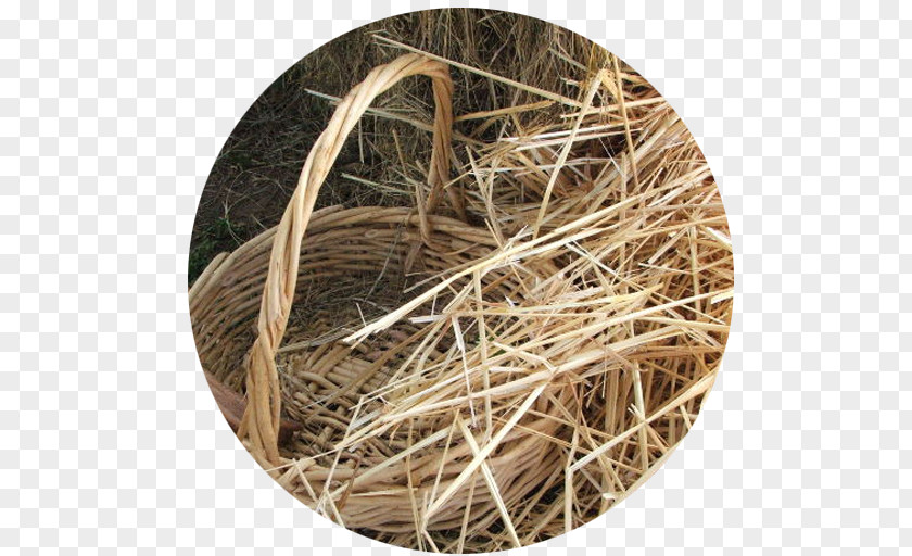 Hay Straw Wood /m/083vt PNG