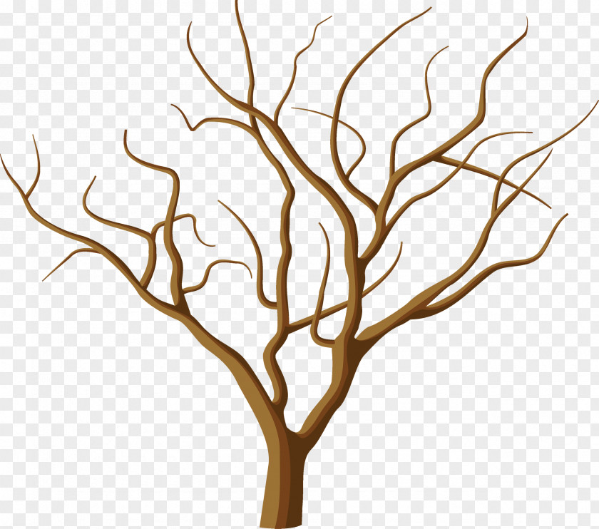 Walnut Walking With Trees Drawing PNG